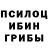 Галлюциногенные грибы прущие грибы Olha Tr