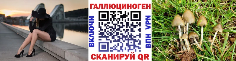 наркотики  Пестово  Псилоцибиновые грибы GOLDEN TEACHER 